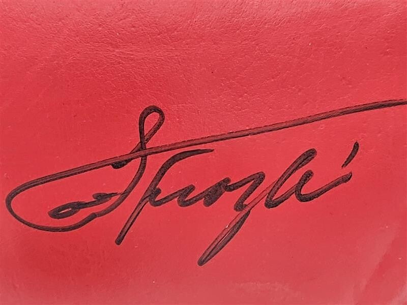 Joe Frazier Signed Autographed Everest Boxing Glove Hall of Famer JSA - CF48003